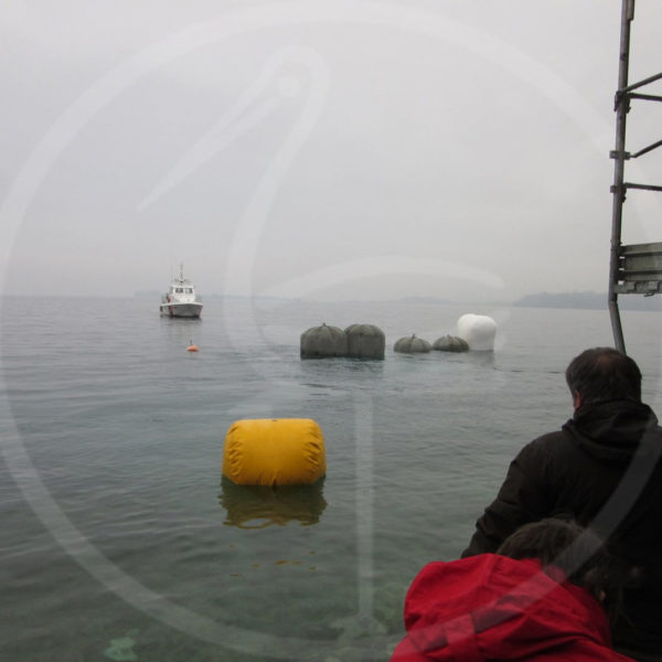 Marine Recovery Wrack im Gardasee